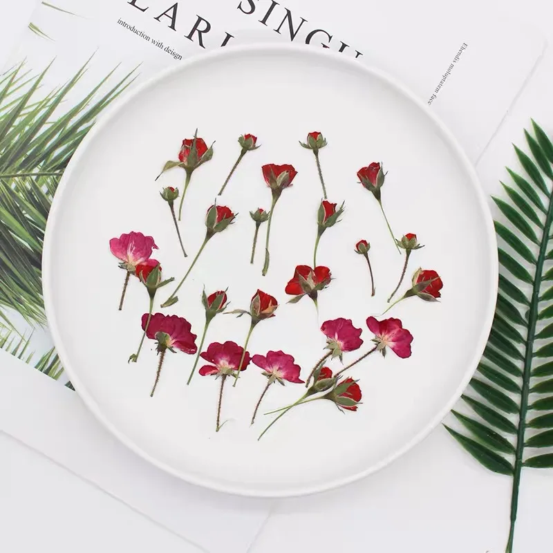 Dried Flower Bookmark - 60 pz lato secco pressato rosso/viola/rosa/giallo