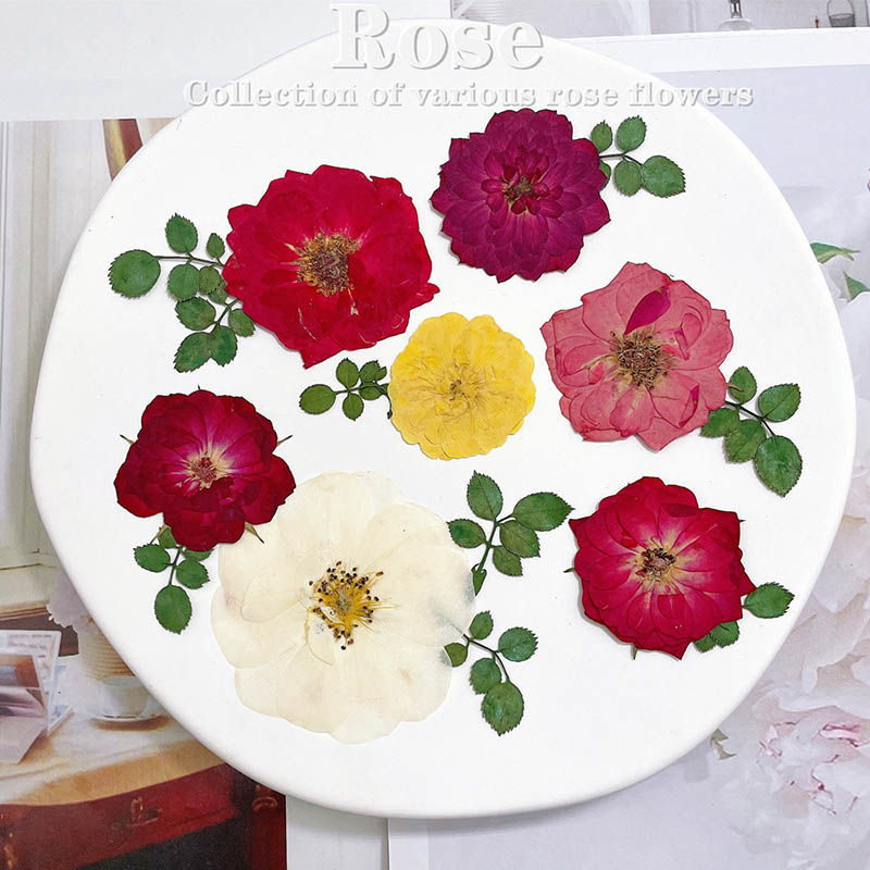 Dried Flower Bookmark - 60 pz Pressato Secco Rosso Giallo