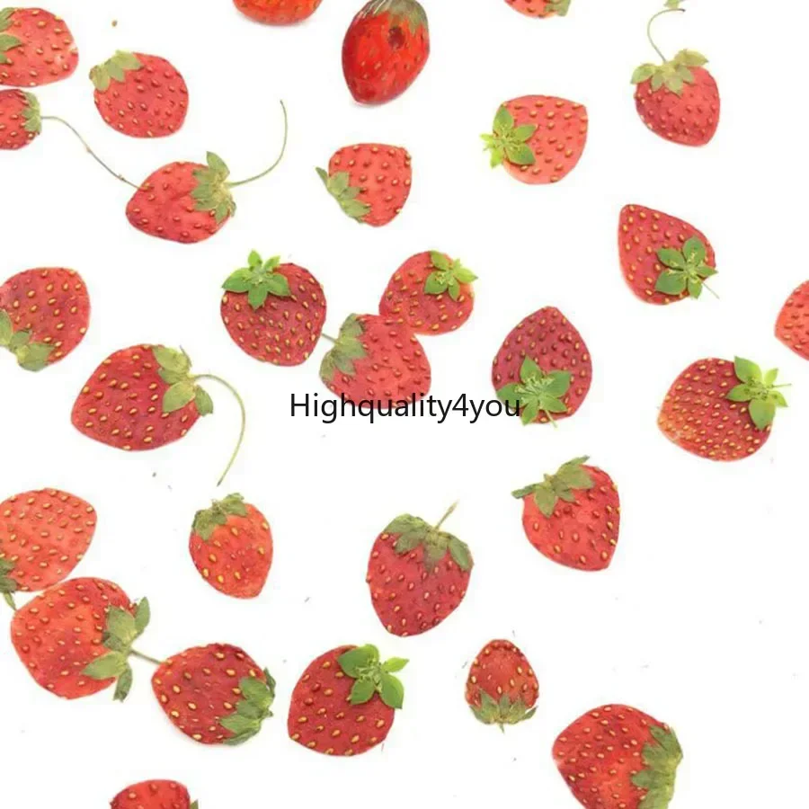 Dried Flower Bookmark - 10 pz essiccato pressato Mini frutta