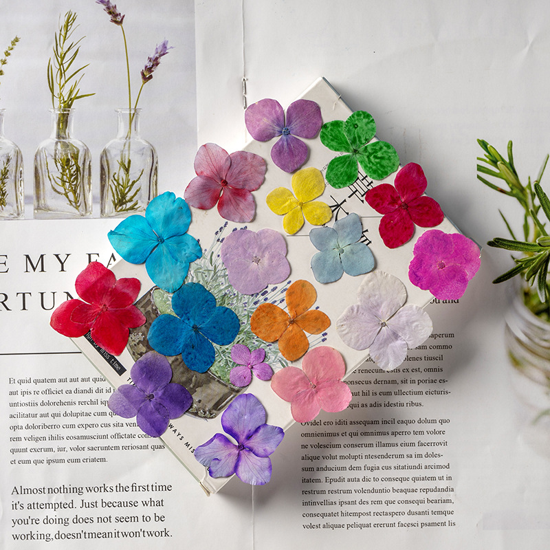 60 Pezzi di Fiori di Ortensia  - Dried Flower Bookmark recensione e prezzo