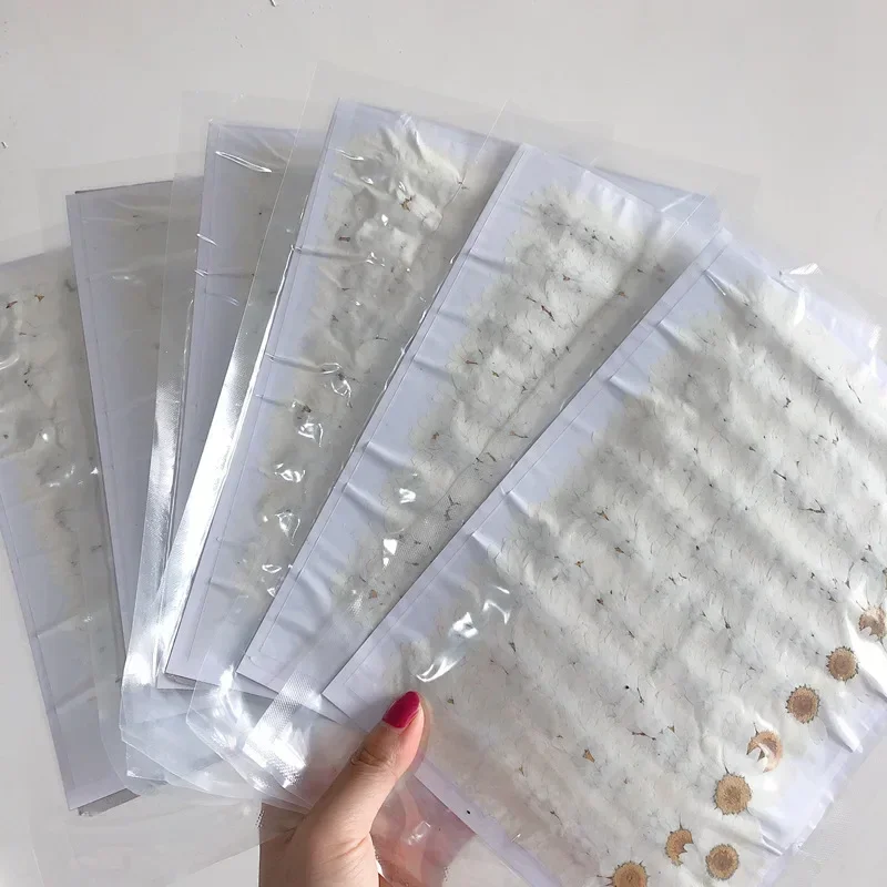 60X Fiori di paludium di crisa - Dried Flower Bookmark recensione e prezzo