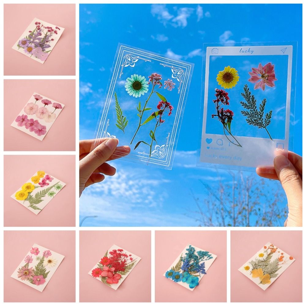 Materiali Fai-da-Te per Segnal - Dried Flower Bookmark recensione e prezzo