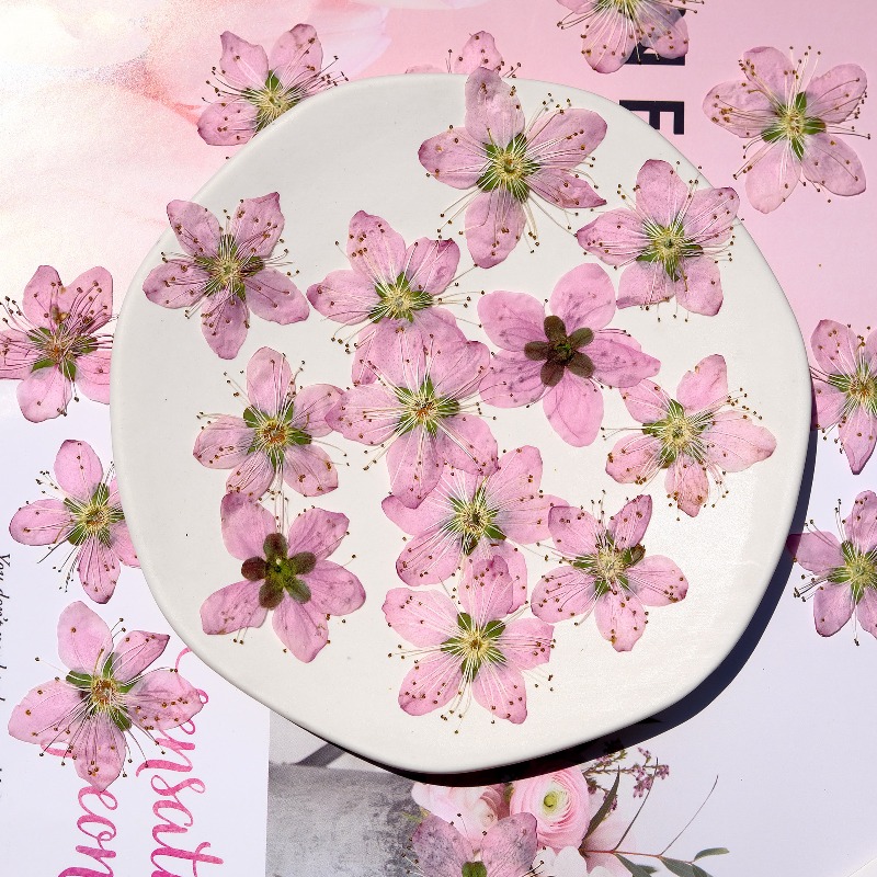 Fiori di pesco pressati ed ess - Dried Flower Bookmark recensione e prezzo