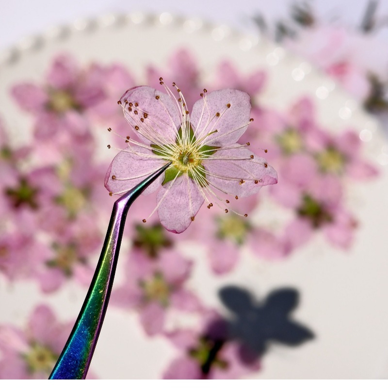Fiori di pesco pressati ed ess - Dried Flower Bookmark recensione e prezzo