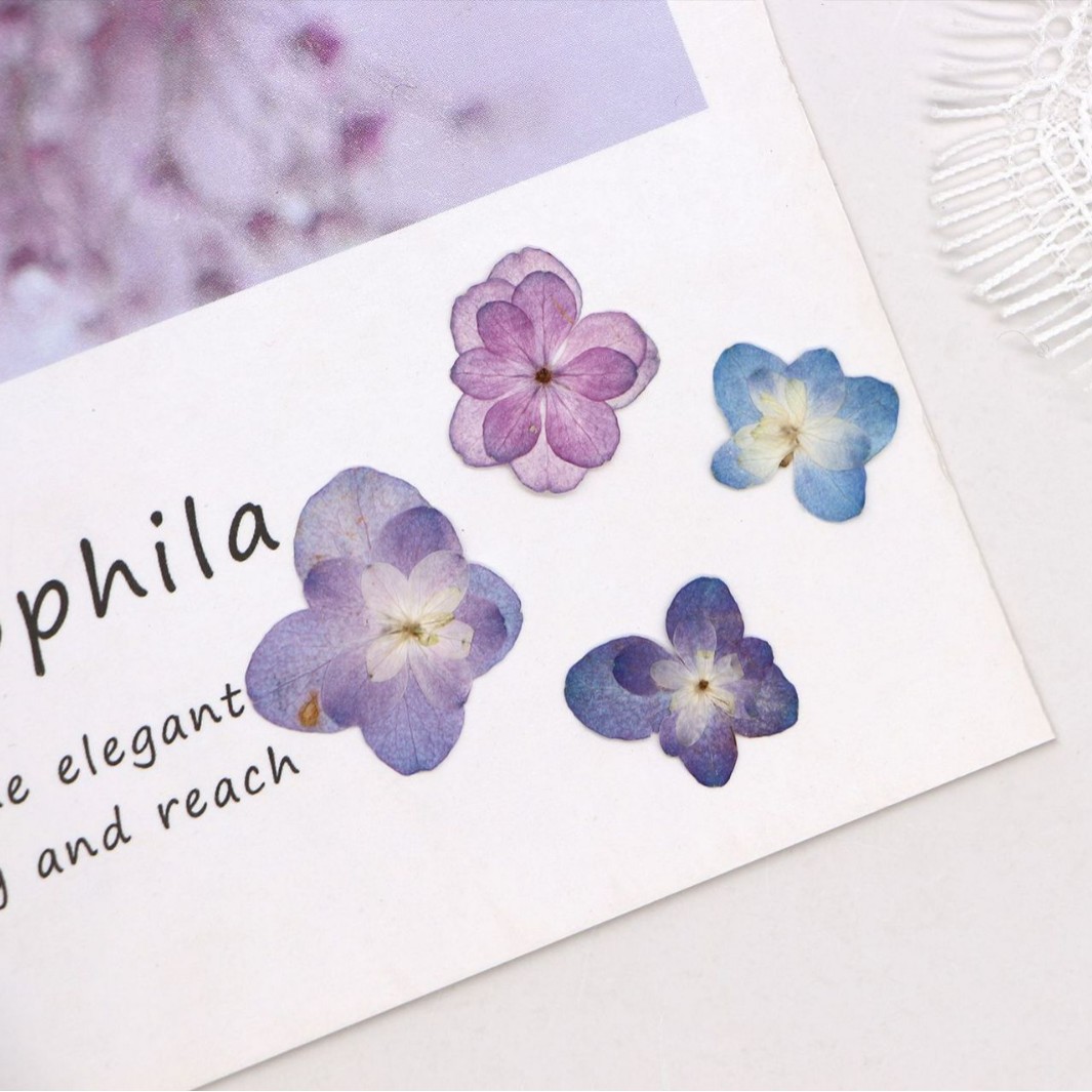60 Pezzi Mini Ortensie a Doppi - Dried Flower Bookmark recensione e prezzo