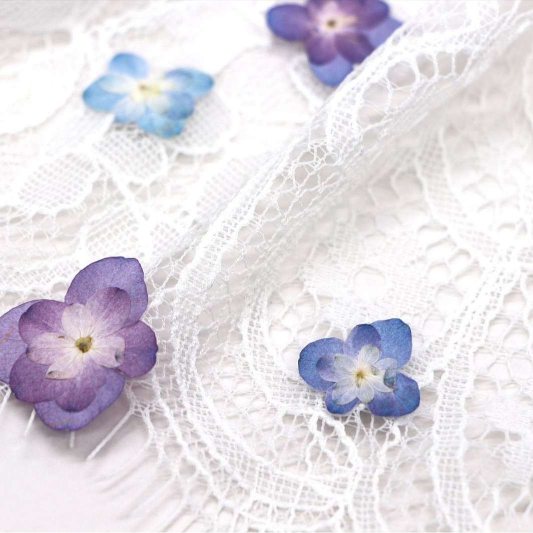 60 Pezzi Mini Ortensie a Doppi - Dried Flower Bookmark recensione e prezzo