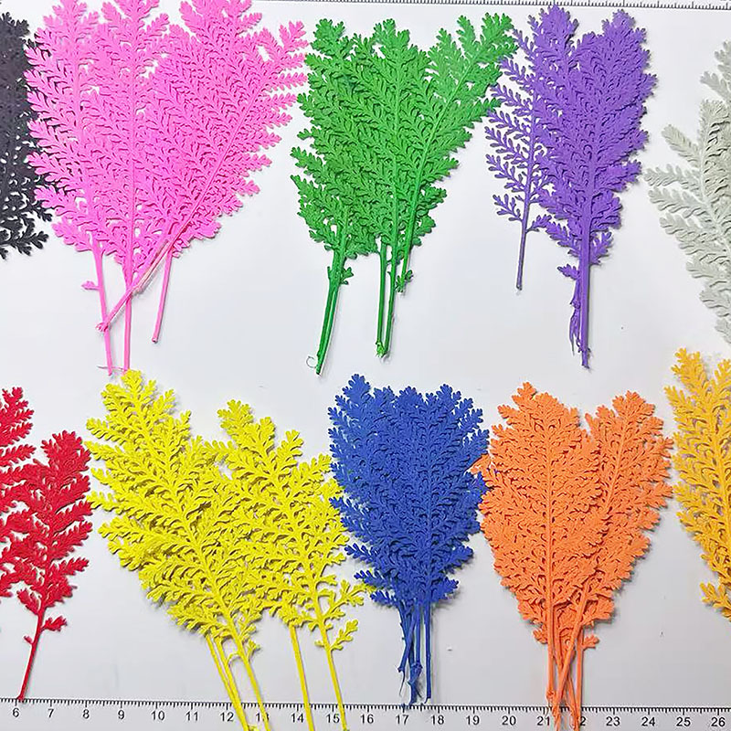 100 Pezzi di Foglie Naturali A - Dried Flower Bookmark recensione e prezzo